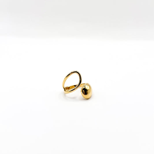 Eryn ring