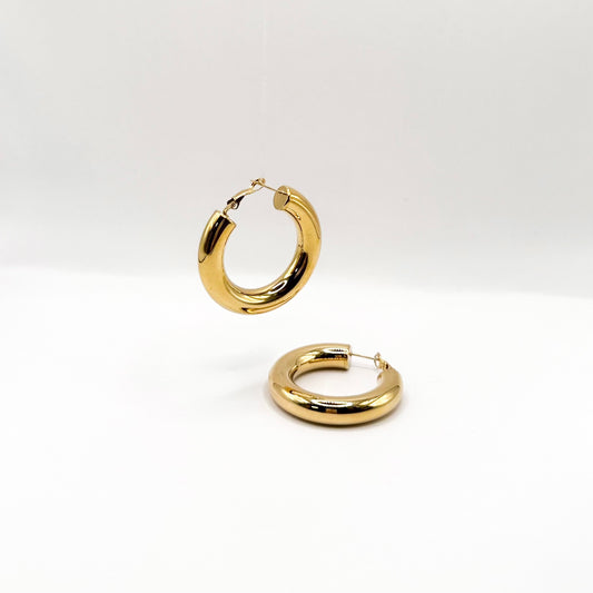 Aurea earrings