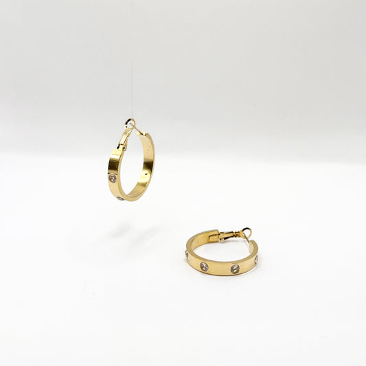 Nexis earrings